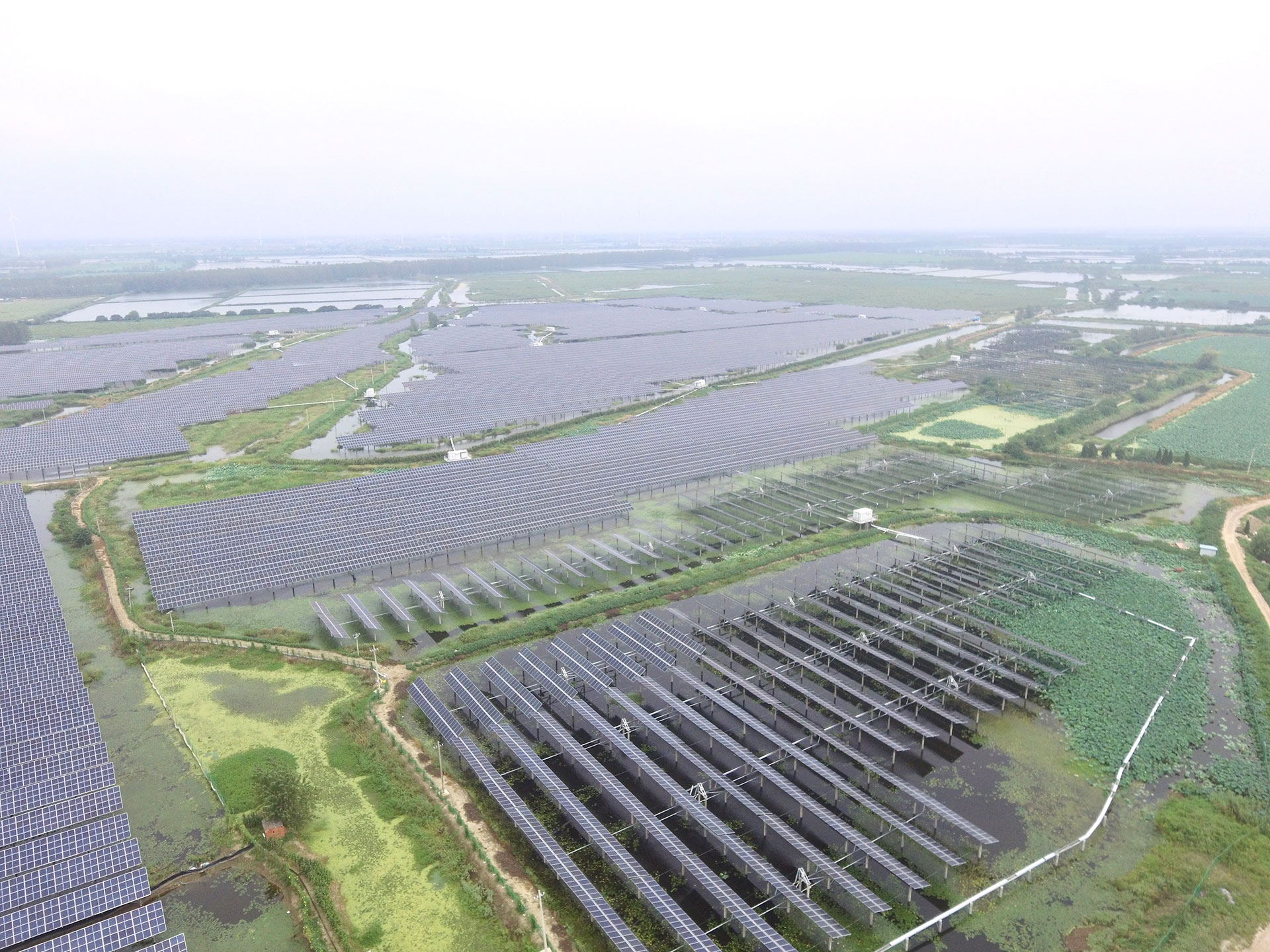 晶科科技江苏扬州宝应光伏发电应用领跑基地2号100兆瓦项目